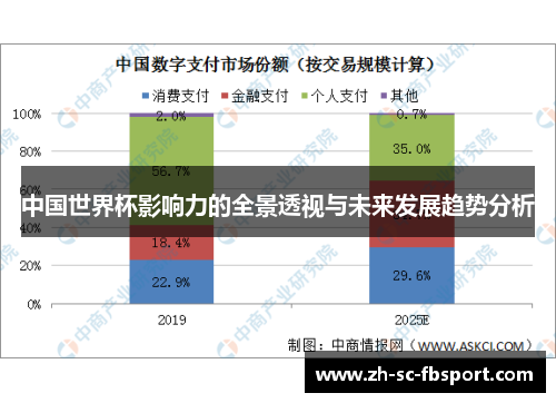 中国世界杯影响力的全景透视与未来发展趋势分析