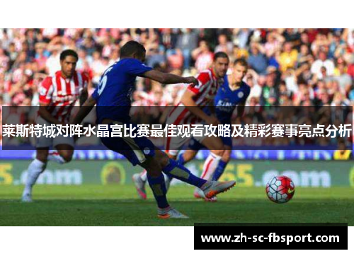 莱斯特城对阵水晶宫比赛最佳观看攻略及精彩赛事亮点分析